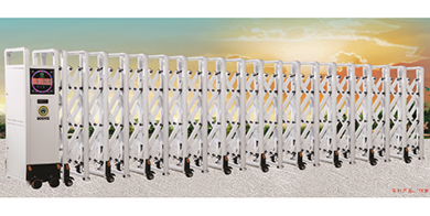 鋅鋼電動(dòng)伸縮門 SOOYII-X-7.2